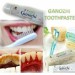 Ganozhi Toothpaste 150g